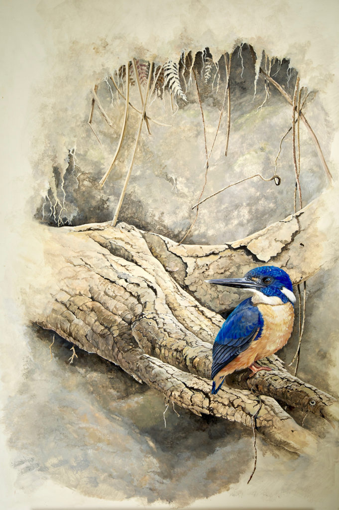 Azure Kingfisher